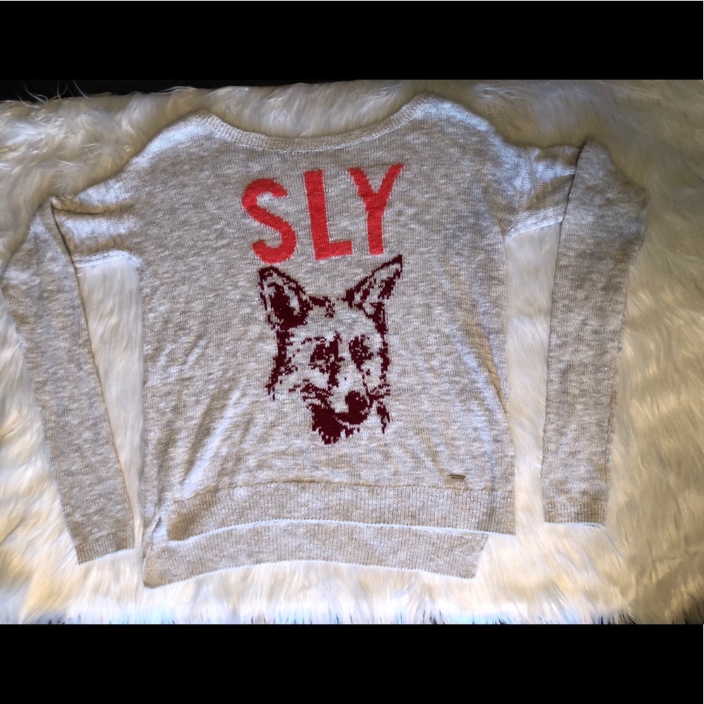 Light gray Holister sweater